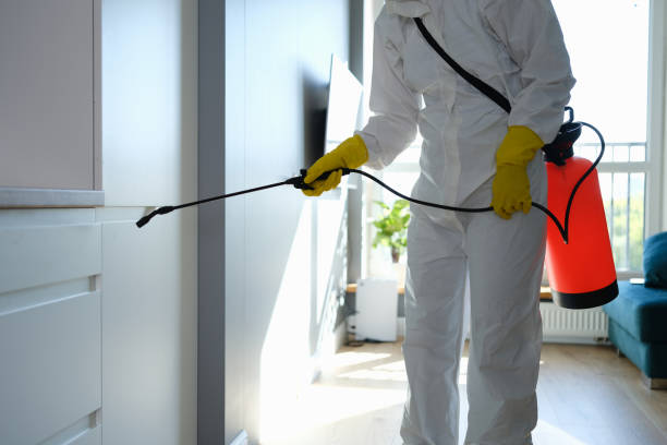 Best Mold Cleaning Services  in Forest Park, OH